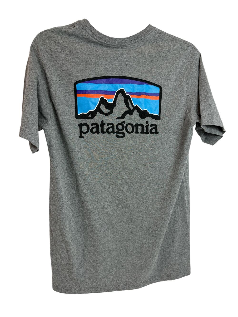 Patagonia Shirt Mens XS Gray P-6 Logo Responsibili Tee Mountain Graphic